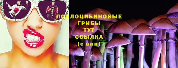 шишки Зеленодольск