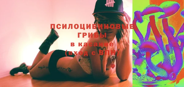 таблы Менделеевск