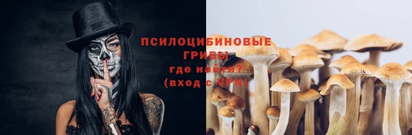 PSILOCYBIN Семикаракорск