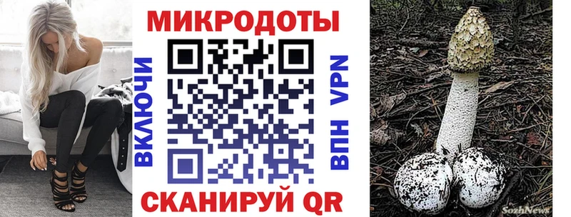 что такое   Снежинск  Псилоцибиновые грибы Cubensis 