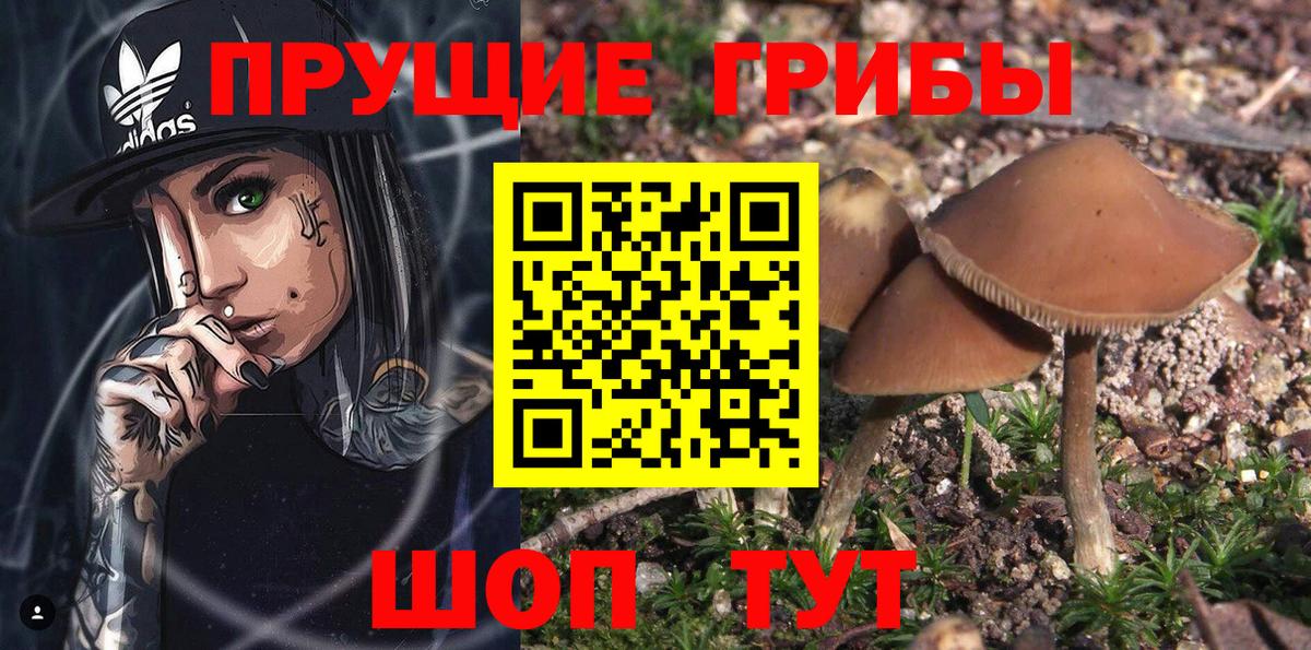 Галлюциногенные грибы мицелий Снежинск